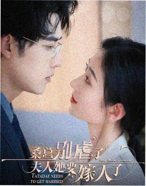 老王影院在线观看 城南旧警察 剧集海报
